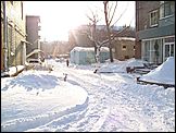 морозное утро в Барнауле
