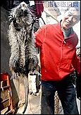Гигантская крыса поймана в Китае