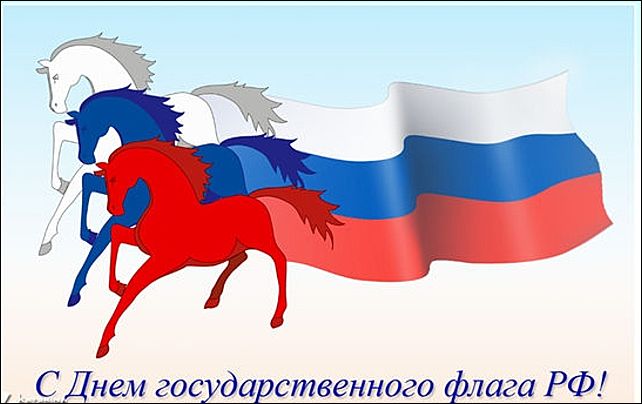 Жители Ярославля создадут огромный коллаж в виде флага России - YarNews.net