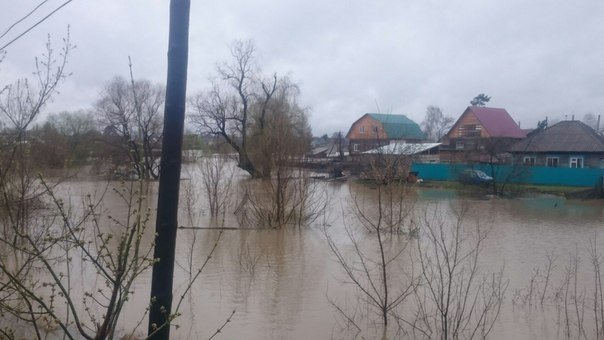 В Заринск пришла большая вода