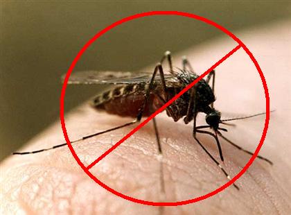 Маялярийный комар