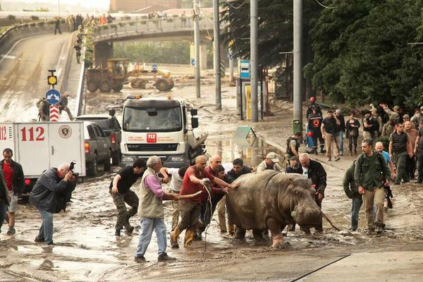 наводнение в Тбилиси