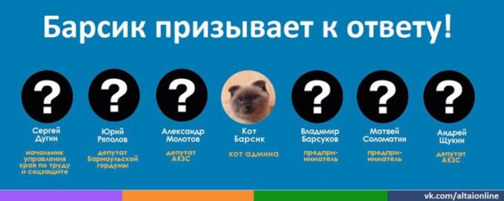 Проверка на вшивость: кот Барсик задал вопросы своим соперникам
