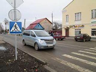«Внимание: «Зебра!»: в Барнауле пройдет студенческая акция по профилактике безопасности дорожного движения 
