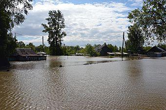 Наводнение на Алтае: в Бийском и Каменском районах будет работать «Поезд «Здоровье» 