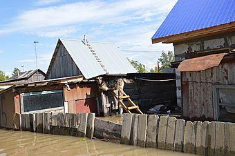 В Барнауле и Камне-на-Оби вода спадет ниже критического уровня 28 июня: МЧС