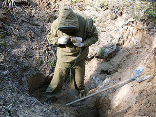 Вельские поисковики нашли в Архангельской области химический снаряд времен Гражданской войны