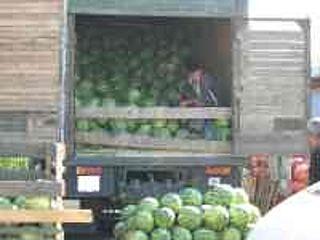 60 тонн арбузов и капусты из Казахстана не пустили в Алтайский край