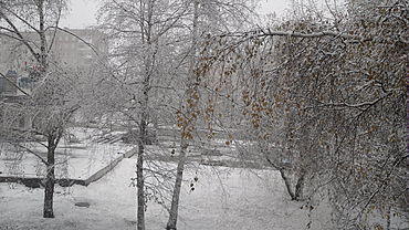 На Барнаул обрушился снегопад