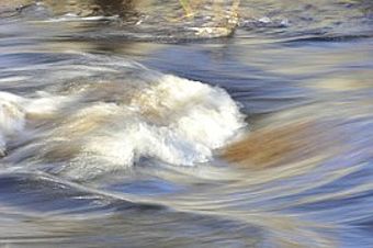 В реке Обь у Барнаула вода поднялась на 2,5 метра