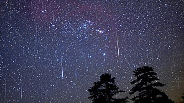  �������� ����� ������ ������ ����� ������ 