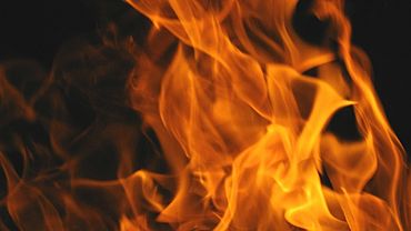  �������� ������ ���������� ��������������� ���� �������� 