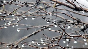 ����: amic.ru