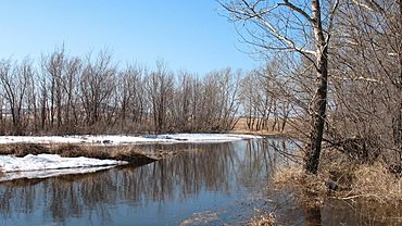 ����: amic.ru