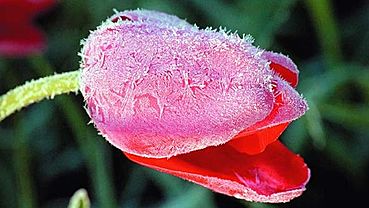  ��������� �������������� �������� ��������� ���� ���������� 