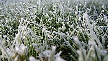  ��������� �������������� ��������� ��������� ���� ���������� 