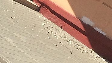 ����: amic.ru