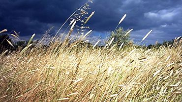 ����: amic.ru