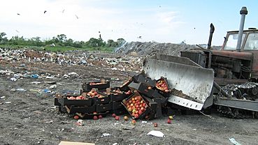 ����: amic.ru