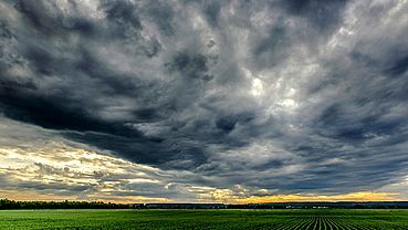 ����: amic.ru