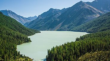  ������� ������������� ��������� ������ ����� 