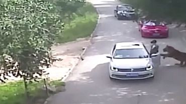 ����: amic.ru