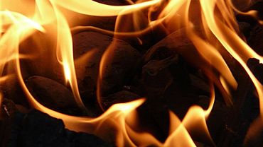  ���������� ������� ���� ������ ������ �������� 