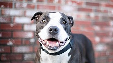  �������� ���������� ���������� ��������� ������ �������� �������� 