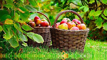 ����: amic.ru