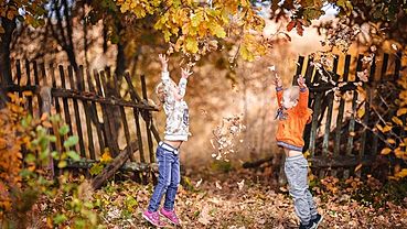 ����: amic.ru