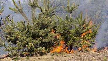  ��������� �������������� �������� ��������� ���� �������� 