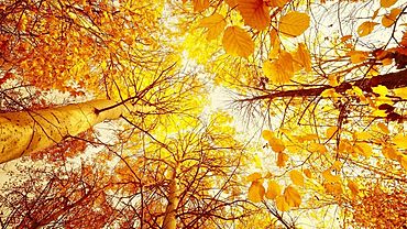 ����: amic.ru