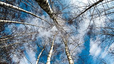  ���������� �������� �������� ������� 