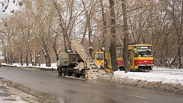  ������� ����� ����������� ������ ���� �������� 