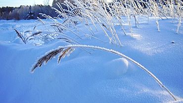 ����: amic.ru