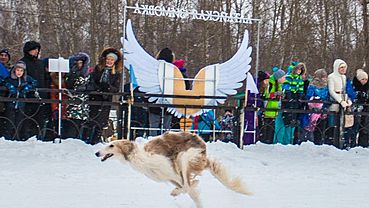 ����: amic.ru