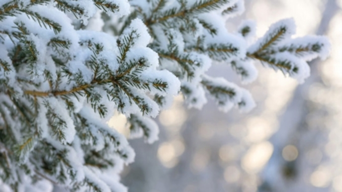 Прогноз погоды на 12 декабря: мороз до -12С обещают синоптики