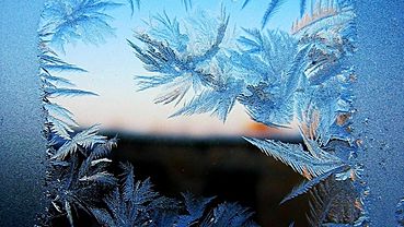  25-��������� ����� ������� ���������� ���� ������� 