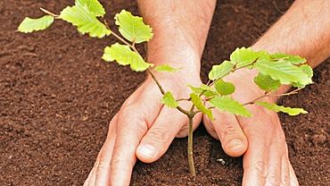 ����: amic.ru