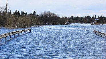 ����: amic.ru