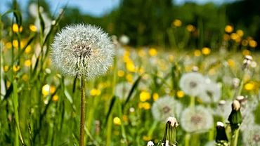 ����: amic.ru