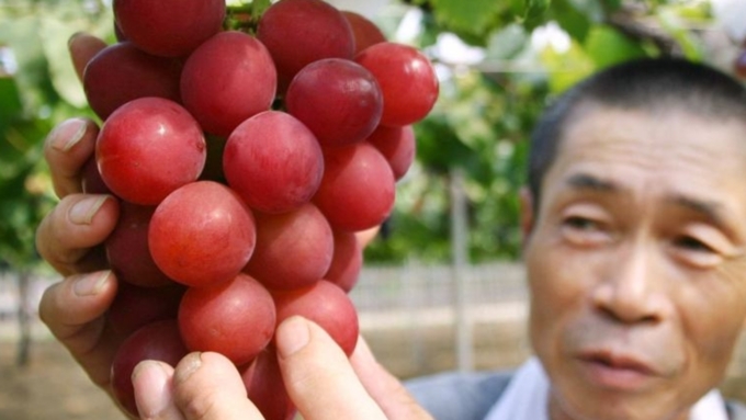 В Японии гроздь винограда продали на аукционе за 11 тысяч долларов