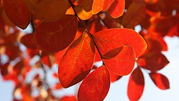 ����: amic.ru