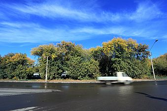 ����: amic.ru