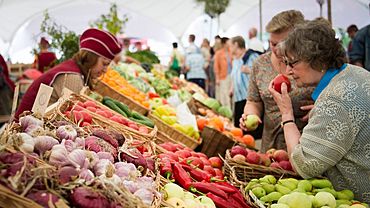 ����: amic.ru