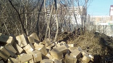 Барнаулец сообщил о десятках выброшенных на улицу коробок с пряниками