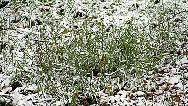  ������������� ����� ������� ���������� ���� ������� 