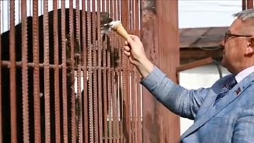 ����: amic.ru