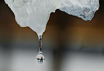  �������������� ������ ����� �������� �������� ����������� ����� 