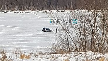  �������� ���������� ���������� ��� �������� 